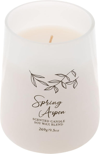 Scented Candles for Home